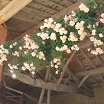 Bed and breakfast D'hotes Le Val De La Garenne 3*
